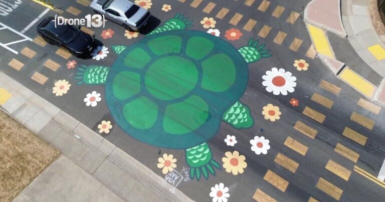 Rancho Cordova transforms intersections into works of art. Is the cost worth it?