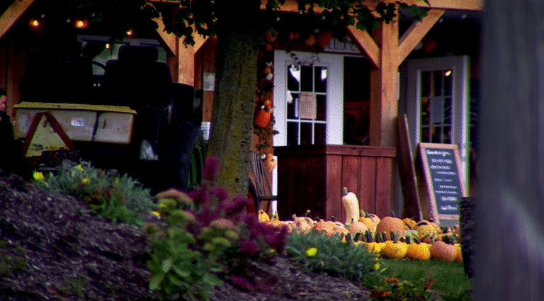 Tim’s Pumpkin Patch now allowed to have live music and brews