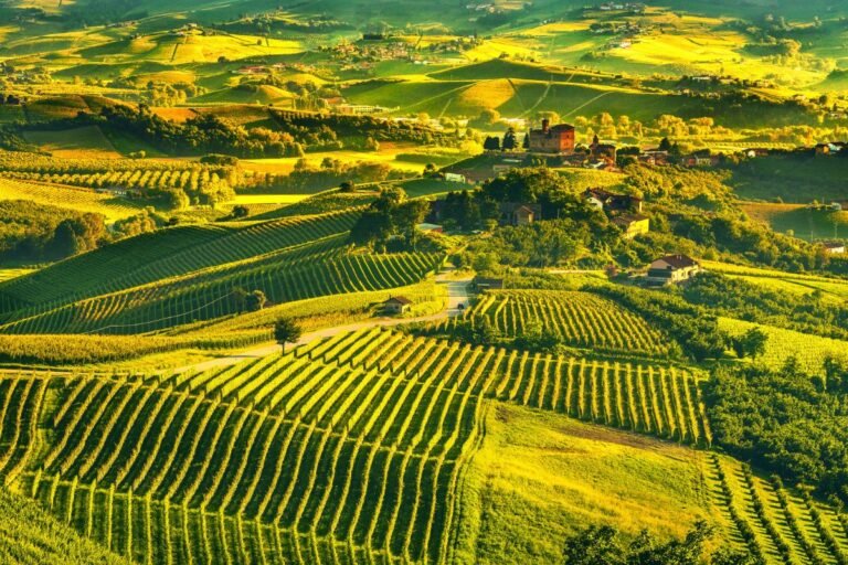 From Piedmont to the Plane: Your Foglizzo to Milan Malpensa Taxi Guide