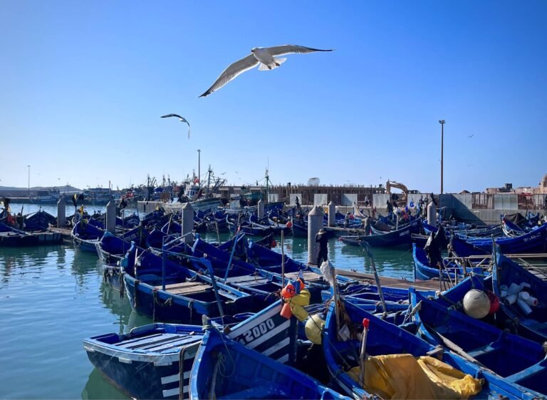 Agadir Airport to Essaouira Transfer Guide — Best Routes