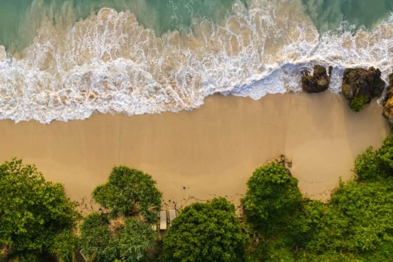 Msambweni Beach to Moi International Airport (MBA)