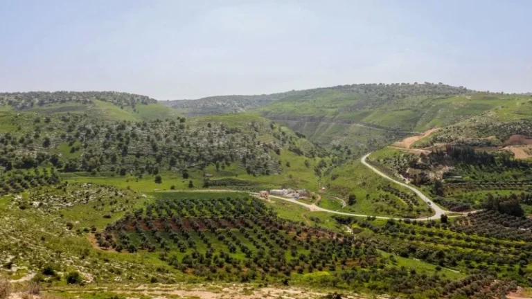 Travel from Irbid to Queen Alia Airport Travel from Irbid to Queen Alia Airport