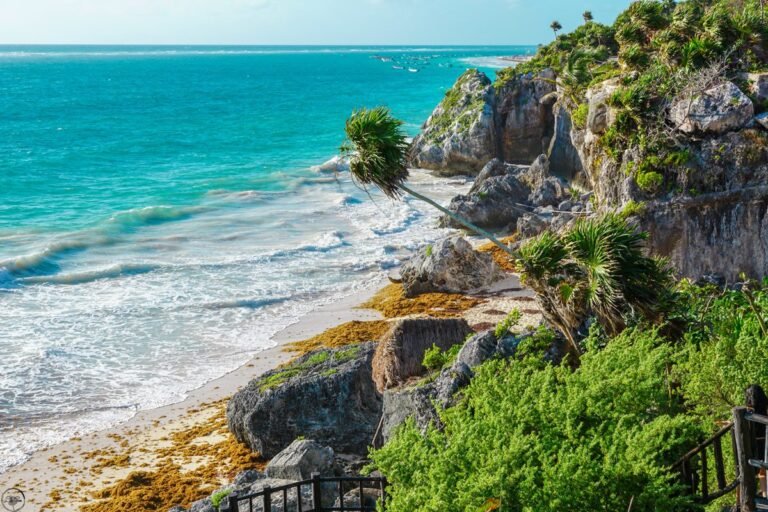 Tulum to Playa del Carmen Transfer