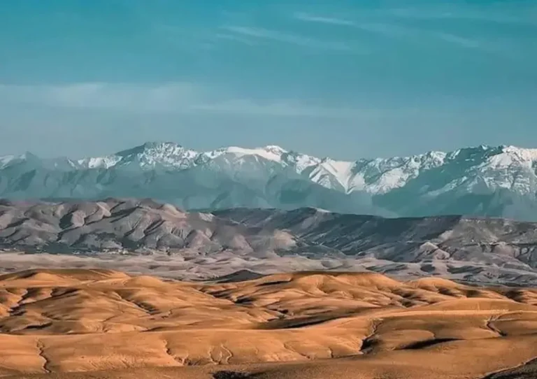 Prices, Car Types & Hidden Gems