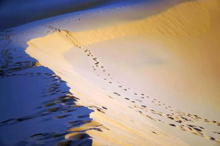 Casablanca to Merzouga Transfer | Sahara Desert Guide & Tips