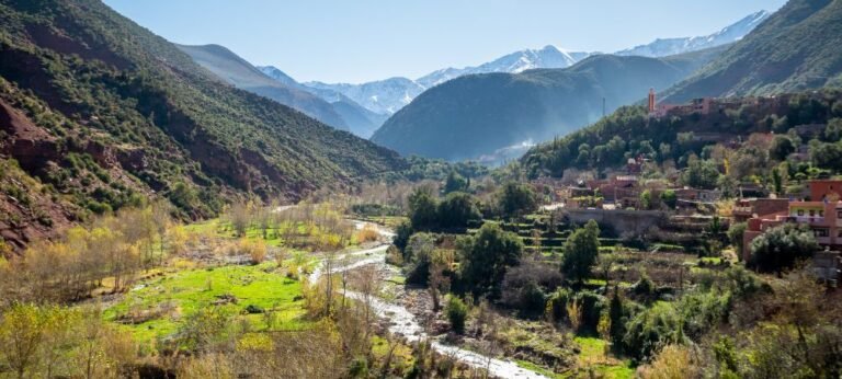 Casablanca to Ourika Valley: Your 2026 Day Trip Casablanca to Ourika Valley: Your 2026 Day Trip