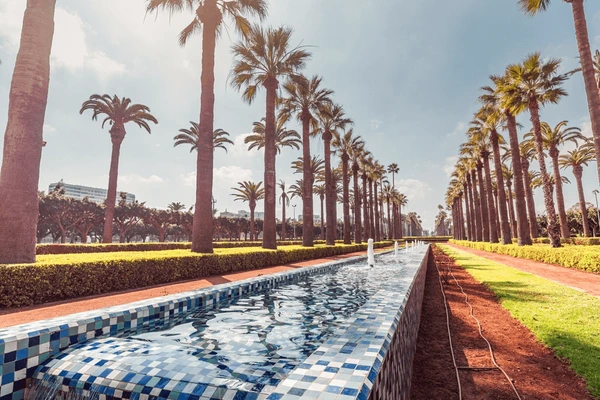 Casablanca to Palmeraie Transfer | Private Taxi, Prices & Travel Casablanca to Palmeraie Transfer | Private Taxi, Prices & Travel