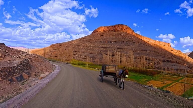 Club Med La Palmeraie to Casablanca airport transfer Club Med La Palmeraie to Casablanca airport transfer