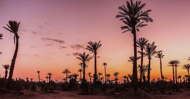 The Ultimate Casablanca Airport to Palmeraie Marrakech