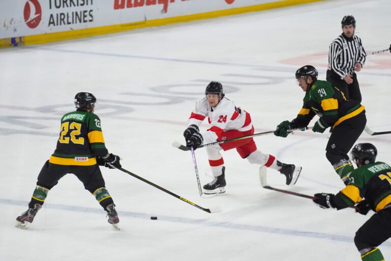 Home Ice Advantage: South African Rhinos Gear Up for the IIHF World Championship in Cape Town – South Africa Sports News and Blog Site Home Ice Advantage: South African Rhinos Gear Up for the IIHF World Championship in Cape Town - South Africa Sports News and Blog Site